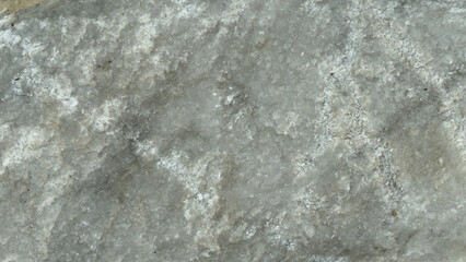 A close-up reveals the coarse, mottled texture of a white laterite soil surface. The varied tones and granular composition highlight its natural, earthy character.