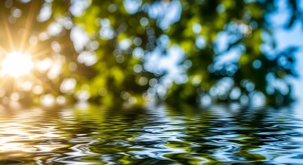 Water Reflection with Sunlight Through Tree