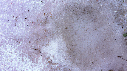 A close-up reveals the coarse, mottled texture of a white laterite soil surface. The varied tones and granular composition highlight its natural, earthy character.