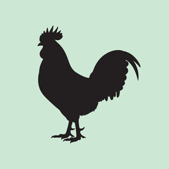 vector silhouette of a rooster on a green background