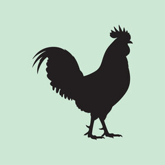 vector silhouette of a rooster on a green background