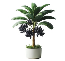 Obraz premium palm tree isolated on white background