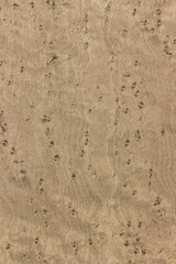 natural wood, with a beautiful pattern. natural wood background. wooden board with natural seamless texture. Birdseye Maple, view from above, horizontal