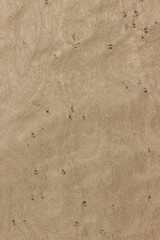 natural wood, with a beautiful pattern. natural wood background. wooden board with natural seamless texture. Birdseye Maple, view from above, horizontal