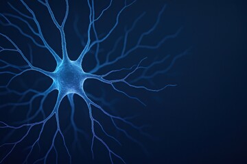 Neuroanatomy explores synapse structure and brain function. Detailed illustration of neuron showcasing its intricate structure and synaptic connections, emphasizing beauty of neuroanatomy