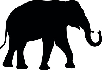 elephant silhouette isolated on white