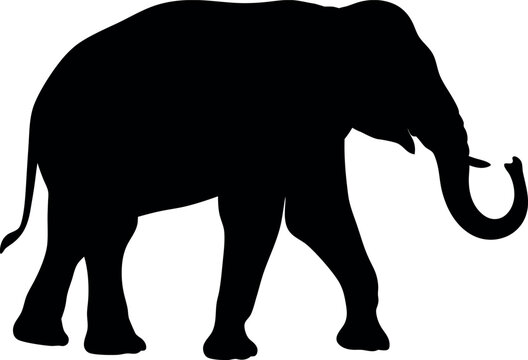 elephant silhouette isolated on white