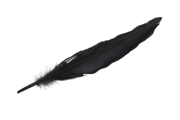 Elegant Black Feather Texture Isolated on Black Background for Art Design Writing Inspiration on transparent background