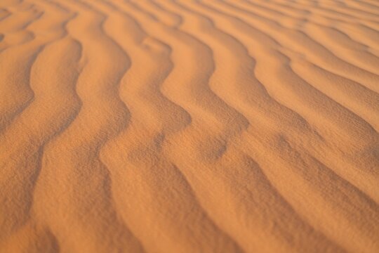 Close-up view of smooth rippled sand dunes with warm golden light creating soft shadows and patterns