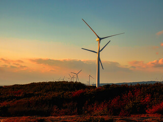 夕日に映える風力発電｜自然と技術の調和 Wind Turbines at Sunset｜Harmony of Nature and Technology