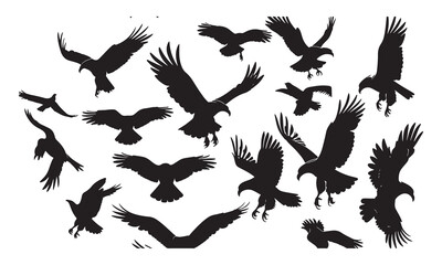 Silhouette collection of majestic eagles in flight depicting freedom and power gracefully