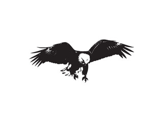 eagle in the sky vector art