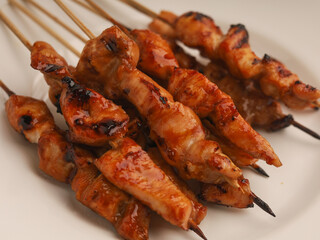 Chicken skewer on white plate on white background