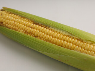 Corn cob on white background