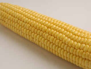 Corn cob on white background