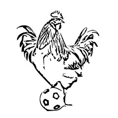 Black and White Vector of Rooster Stepping on Football Illustration
