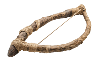 Primitive bow and arrow