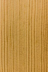 texture of valuable wood. wooden board. lumber. larch, larix, view from above. vertical texture