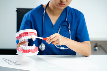Dental professional brushing teeth on jaw model for hygiene demo. Ideal for oral care, dental...