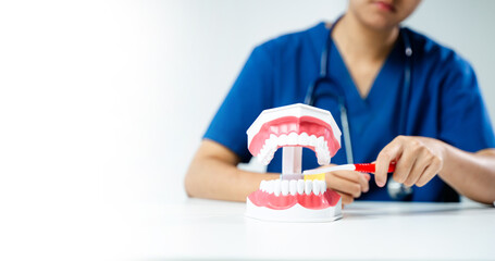 Dental professional brushing teeth on jaw model for hygiene demo. Ideal for oral care, dental...