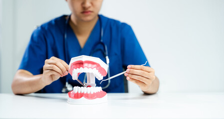 Dentist using tools to demonstrate dental anatomy on jaw model. Great for dental care, oral health...