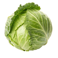 Obraz premium Cabbage isolated on a transparent background 