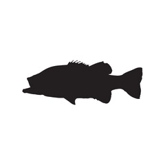 Seabass and Barramundi Fish Silhouette Vector Black Marine Fish Icons Isolated on White Background