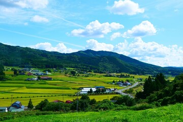 実りの秋。遠野、岩手、日本。9月中旬。