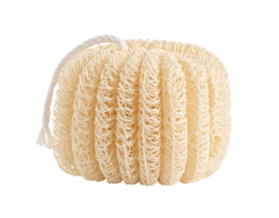 Natural Loofah Bath Sponge isolated on transparent or white background	
 