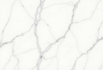 Obraz premium White marble background with detailed linear grey veining.