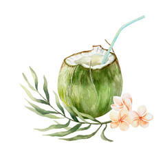 Coconut drink in green fruit with straw, plumeria flowers, palm branch. Watercolor illustration isolated on white. For postcards, invitations, tropical summer banners, menu, labels.