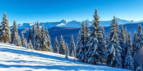 Serene blue winter mountain landscape; snow-covered pines,  winter wonderland,  natural