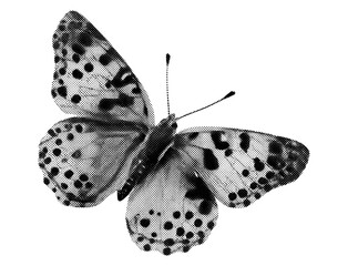 Halftone collage butterfly vector illustration, insect in grunge punk pop art style, vintage abstract art template, dotted texture, mixed media design, retro pop art illustrations. © aura studio