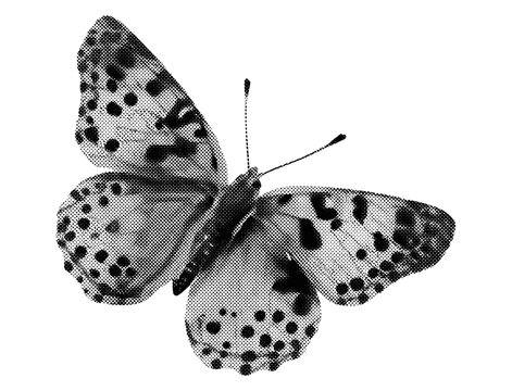 Halftone collage butterfly vector illustration, insect in grunge punk pop art style, vintage abstract art template, dotted texture, mixed media design, retro pop art illustrations.