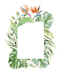 Tropical frame with palm leaves, monstera, liana, strelitzia flowers. Hand drawn watercolor illustration isolated on white. For postcards, invitations, summer banners, covers, labels.