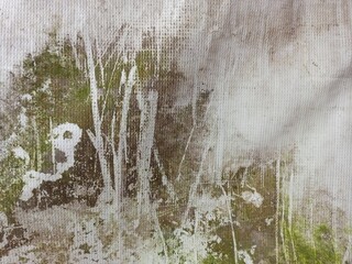 Detailed Grunge Wall Texture with Moss and Paint Streaks