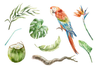 Macaw parrot, palm and monstera leaves, strelitzia flower, twig, coconut drink. Tropical set. Hand drawn watercolor illustration isolated on white. Cards, invitations, summer banners, labels, posters.