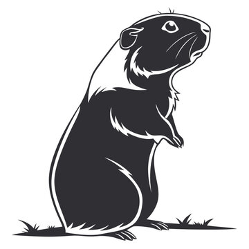 black and white guinea pig standing clip art preview
