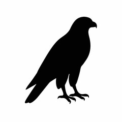 Majestic Black Silhouette of a Hawk: A Striking Vector Graphic