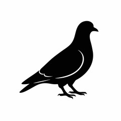 A black silhouette of a pigeon, facing right, stands on a white background.  The bird is depicted in a simple, elegant style, suitable for logo design or other graphic applications.