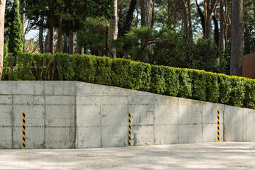 Modern concrete retaining wall with trimmed green hedge and safety posts stands in a pine forest, illustrating landscape architecture and urban safety.