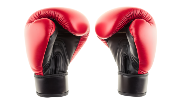 High Detail Red Boxing Gloves Fitness Gear Pair for Professional Use