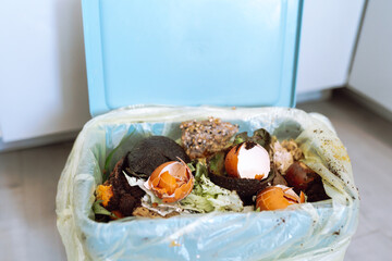 collecting organic food waste at home