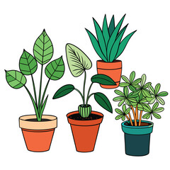 Obraz premium black and color pot plant vector art for home and office 