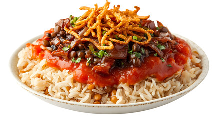 Delicious Close-up of Egyptian Koshari Dish, a Flavorful Mix of Rice, Lentils, and Noodles