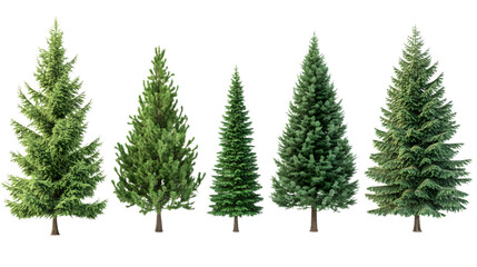 Green Christmas Trees Collection for Festive Holiday Decor Ideas
