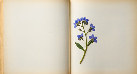 Pressed Blue Flowers in Antique Book Botanical Illustration