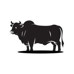 Bull illustration