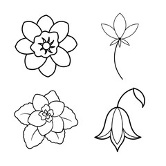 line art flower design bundle 