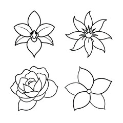 line art flower design bundle 